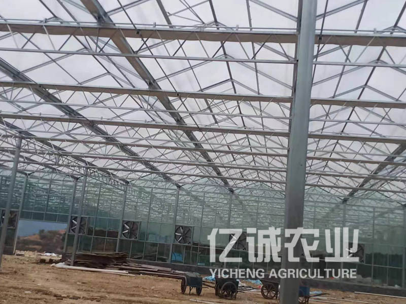 智能蔬菜溫室大棚結(jié)束了中國北方到了冬天就只能靠蘿卜、白菜生活的日子