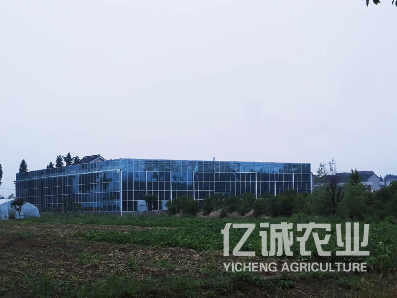 智能溫室大棚建設(shè)廠家選億誠 報(bào)價(jià)一鍵獲取 免費(fèi)附贈(zèng)建設(shè)方案
