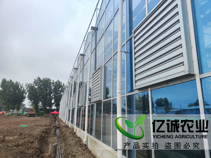 現(xiàn)代化智能溫室大棚建設(shè)應(yīng)用于蔬菜種植產(chǎn)量高，可使收獲期提前