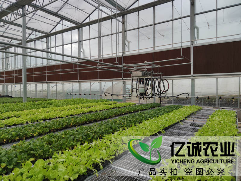 現(xiàn)代化智能溫室大棚如何建造？智能化連棟溫室大棚多少錢一個(gè)平方？