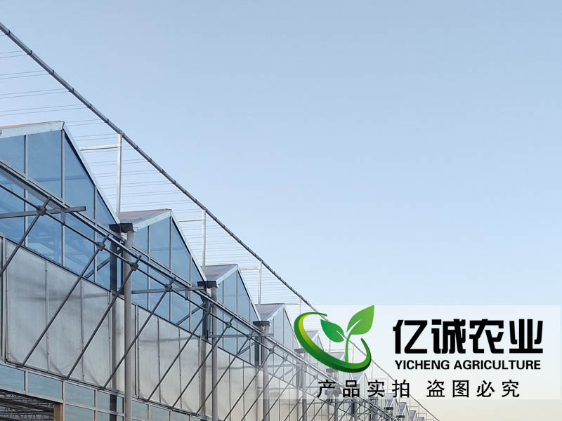 玻璃溫室每平方米報(bào)價(jià)多少？現(xiàn)代化智能溫室大棚造價(jià)？