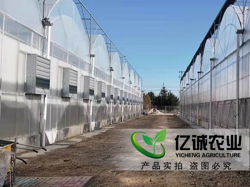 玻璃和薄膜連棟溫室大棚在種植蔬菜前對土壤有要求嗎？