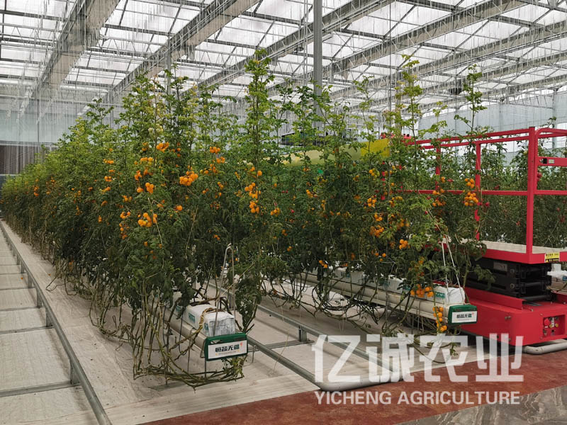 青州溫室大棚建設(shè)哪家好？