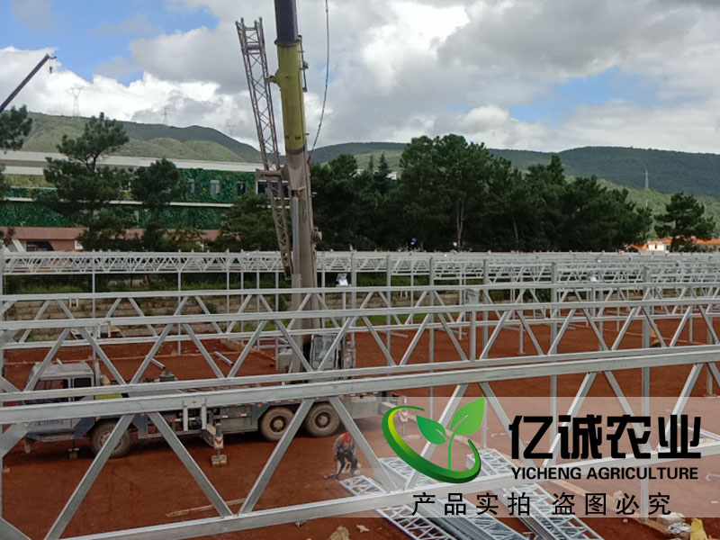 建一畝地溫室大棚多錢？