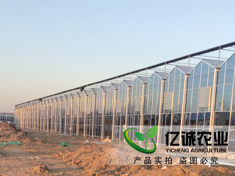 建一畝地溫室大棚多錢？用什么材料比較好？