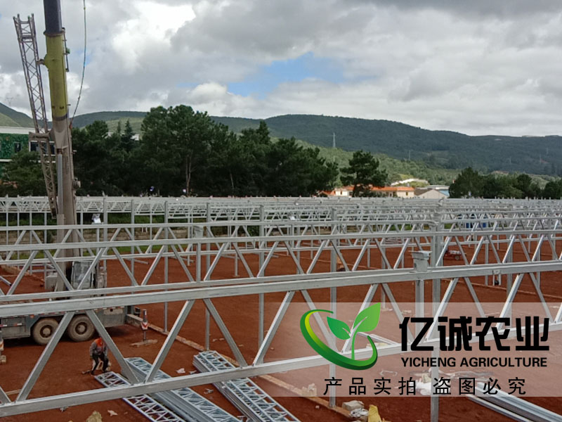 青州玻璃溫室大棚哪家建的比較專業(yè)？性價(jià)比高？