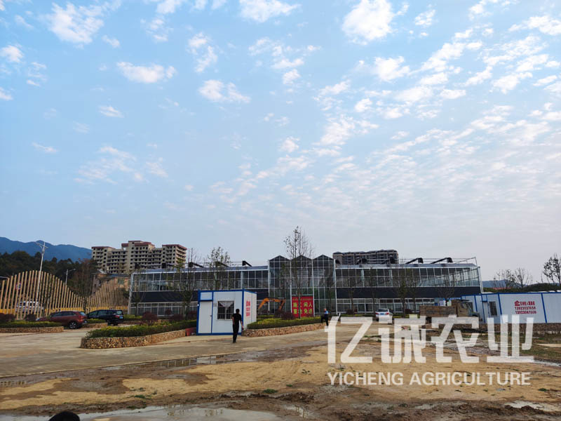 現(xiàn)代化連棟溫室大棚建設(shè)有補(bǔ)貼嗎？連溫室大棚造價(jià)多少一畝