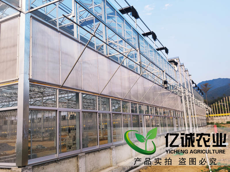 玻璃溫室大棚造價(jià)多少錢一畝？玻璃連棟溫室大棚價(jià)格高不高？