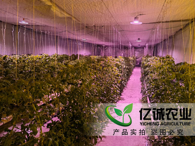 蔬菜大棚造價(jià)是如何計(jì)算的？