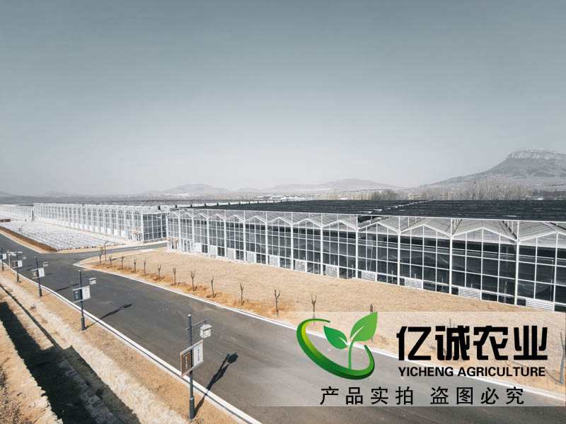 連棟溫室大棚水槽內(nèi)為什么會積水？億誠教您這樣做