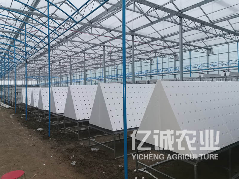 薯類(lèi)作物的溫室大棚怎么建設(shè)？造價(jià)高不高？