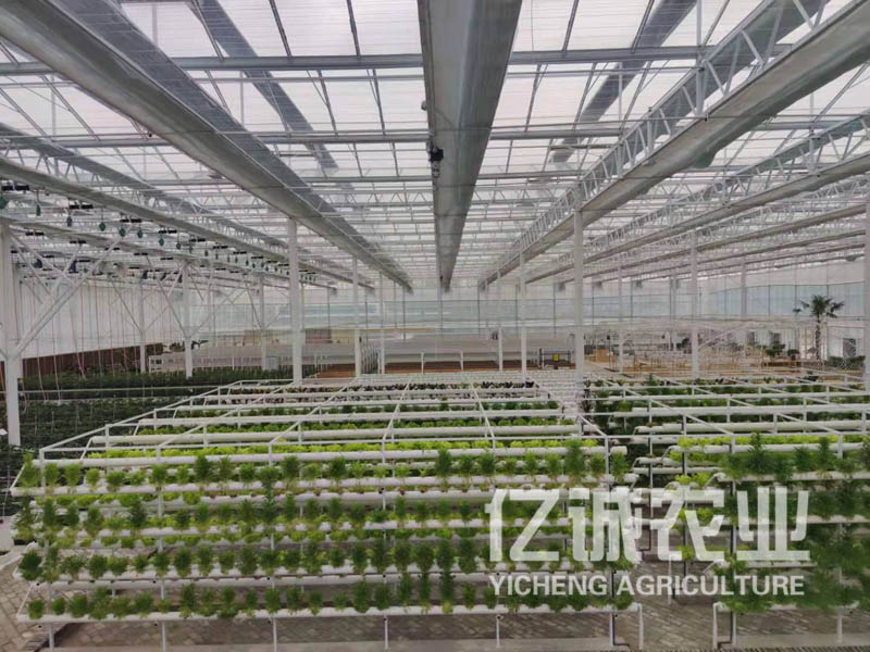 智能農業(yè)大棚建設